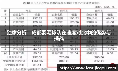 独家分析：成都羽毛球队在速度对比中的优势与挑战